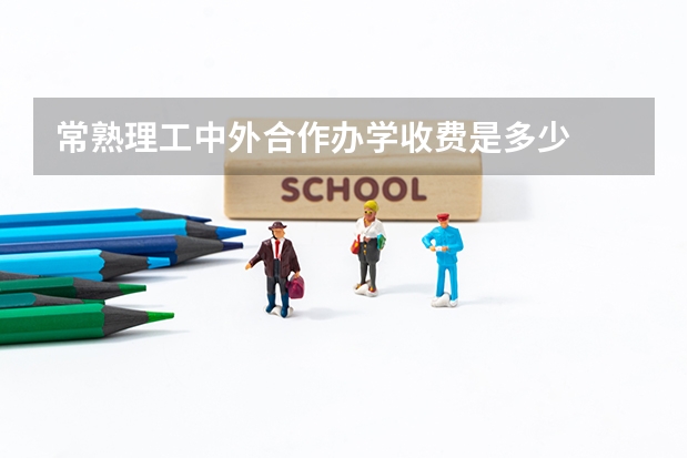 常熟理工中外合作办学收费是多少