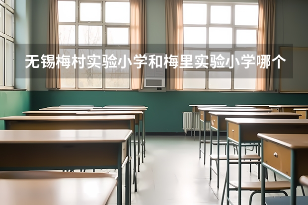 无锡梅村实验小学和梅里实验小学哪个好